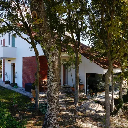 Isolated Terna -big Garden-pool-dalmatia *