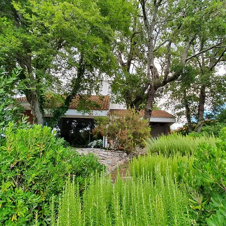 Villa Isolated Terna -big Garden-pool-dalmatia Slime