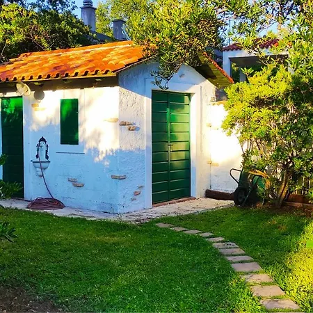 Villa Isolated Terna -big Garden-pool-dalmatia *