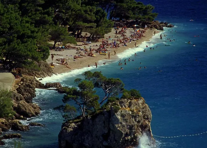 Isolated Terna -big Garden-pool-dalmatia Slime