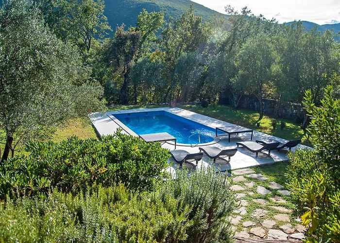 Isolated Terna -big Garden-pool-dalmatia *