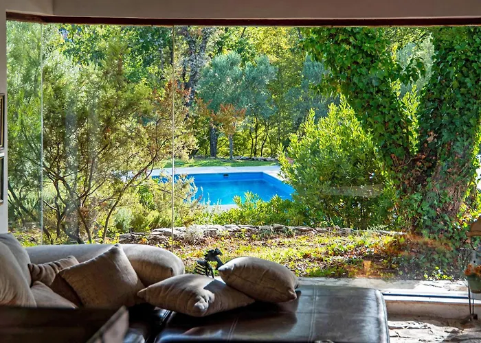 Isolated Terna -big Garden-pool-dalmatia Slime