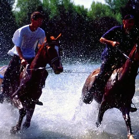 빌라 Isolated Terna -big Garden-pool-dalmatia