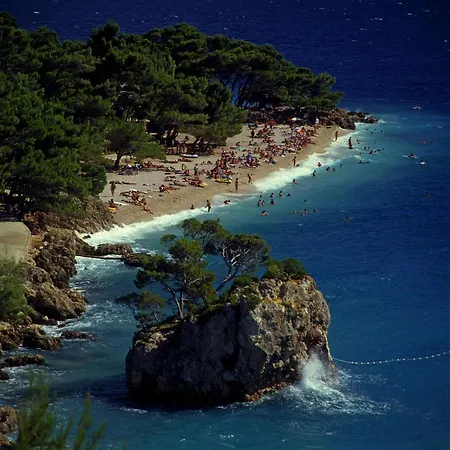 Isolated Terna -big Garden-pool-dalmatia Slime