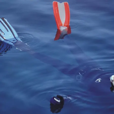 Isolated Terna -big Garden-pool-dalmatia