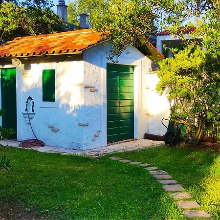 빌라 Isolated Terna -big Garden-pool-dalmatia *