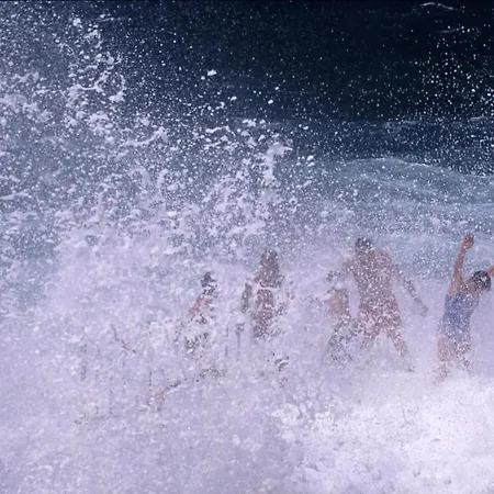 Isolated Terna -big Garden-pool-dalmatia Slime