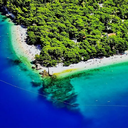 Isolated Terna -big Garden-pool-dalmatia * Slime