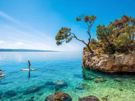 빌라 Isolated Terna -big Garden-pool-dalmatia *