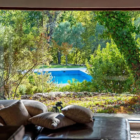 Isolated Terna -big Garden-pool-dalmatia Slime