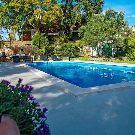 Isolated Terna -big Garden-pool-dalmatia * Slime