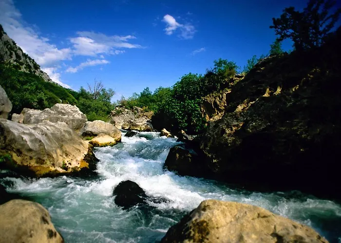 Isolated Terna -big Garden-pool-dalmatia Slime