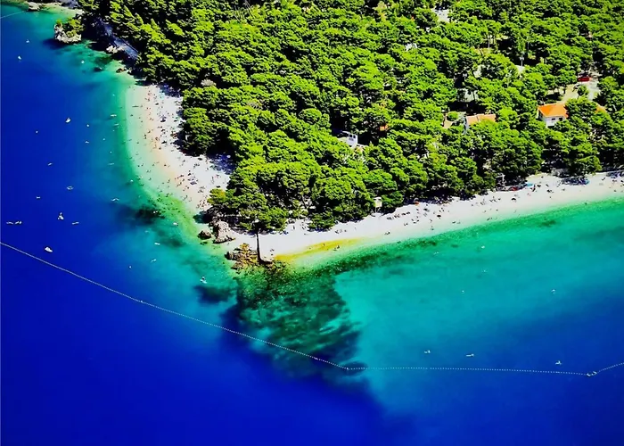 Isolated Terna -big Garden-pool-dalmatia * Slime